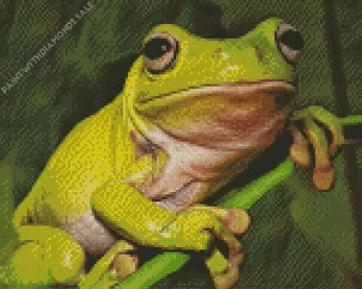 Green Frog Diamond Painting