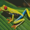 Green Frog On Leaf Diamond Painting