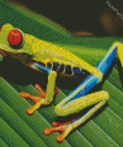 Green Frog On Leaf Diamond Painting