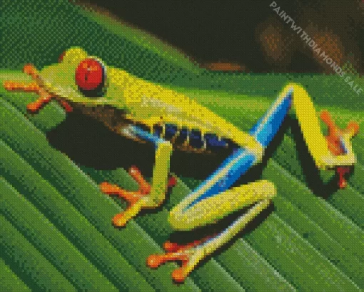 Green Frog On Leaf Diamond Painting