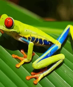 Green Frog On Leaf Diamond Painting