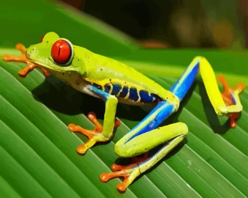 Green Frog On Leaf Diamond Painting