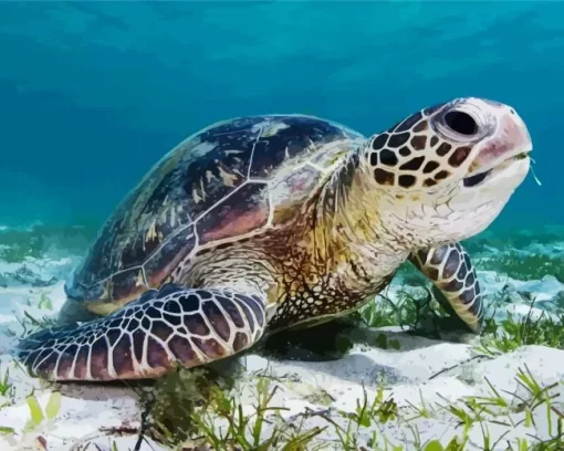 Green Sea Turtle Diamond Painting