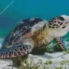 Green Sea Turtle Diamond Painting