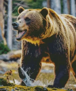 Grizzly Bear Diamond Painting