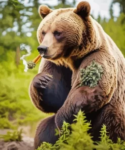 Grizzly Bear Smoking Diamond Painting