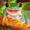 Happy Frog Diamond Painting