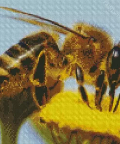 Honey Bee Haven Diamond Painting