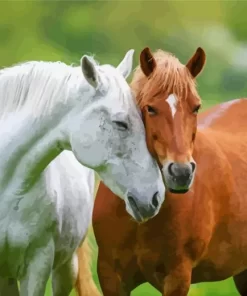 Horse Couple Diamond Painting