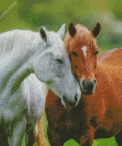 Horse Couple Diamond Painting