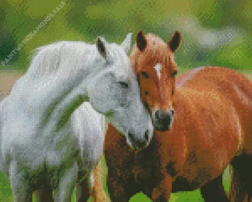 Horse Couple Diamond Painting