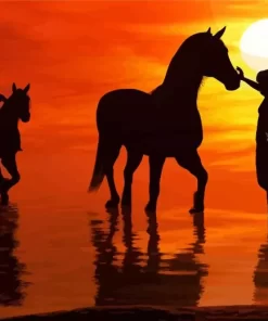 Horse Silhouette At Sunset Diamond Painting