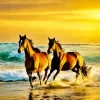 Horses In The Sea Diamond Painting