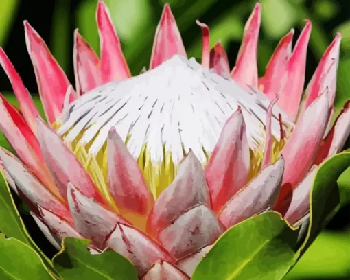 King Protea Diamond Painting