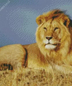 King Lion Diamond Painting