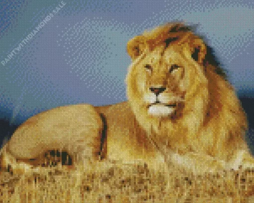 King Lion Diamond Painting