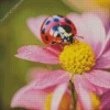 Ladybug On A Pink Flower Diamond Painting