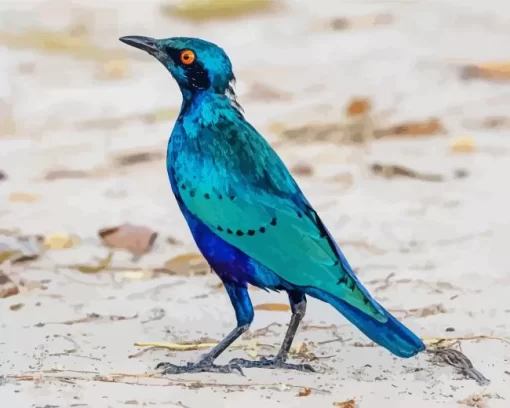 Lesser Blue Eared Starling Diamond Painting