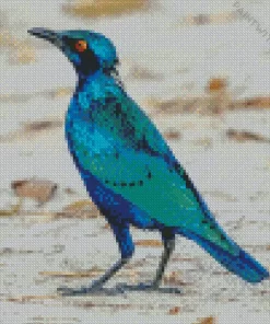 Lesser Blue Eared Starling Diamond Painting