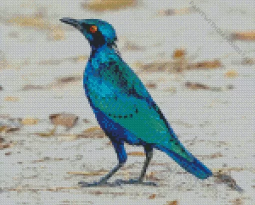 Lesser Blue Eared Starling Diamond Painting