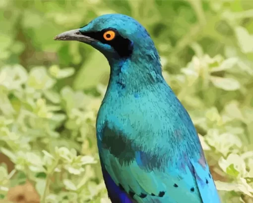 Lesser Blue Starling Bird Diamond Painting