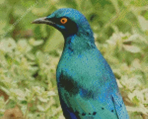 Lesser Blue Starling Bird Diamond Painting