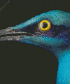 Lesser Starling Blue Bird Close Up Diamond Painting