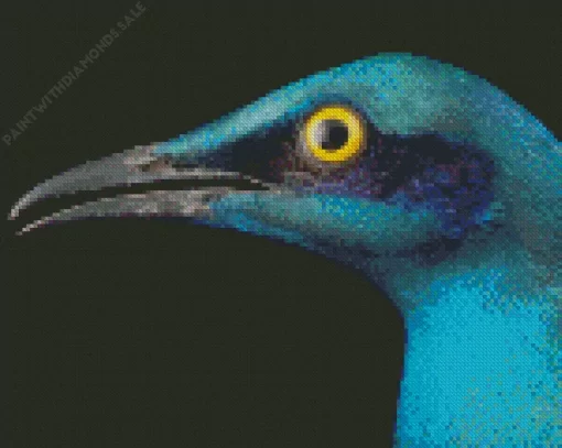 Lesser Starling Blue Bird Close Up Diamond Painting