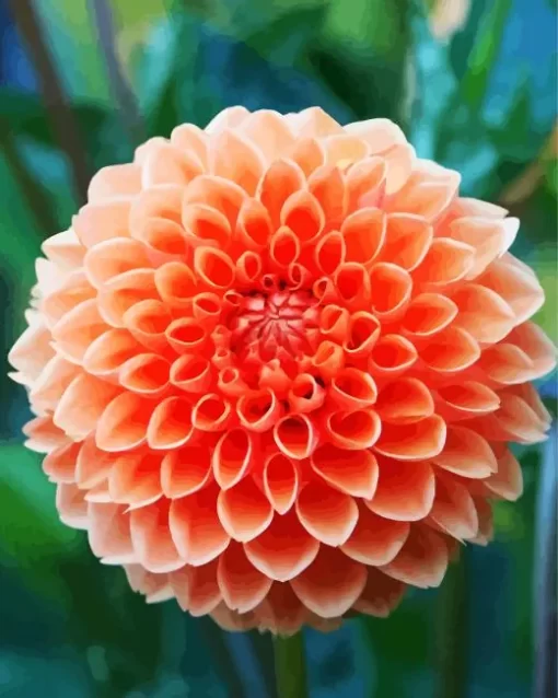 Light Orange Pompon Dahlias Diamond Painting