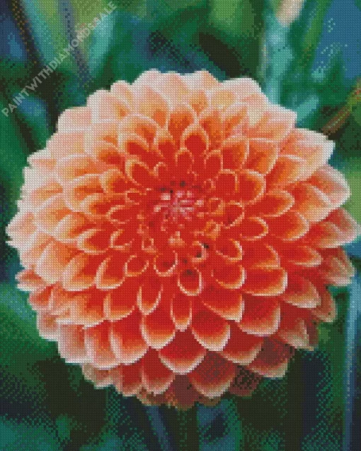 Light Orange Pompon Dahlias Diamond Painting