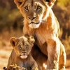 Lion And Lioness Diamond Painting