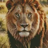 Lion Animal Diamond Painting