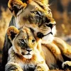 Lion Couple Diamond Painting