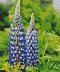 Lupine The Governor Flower Diamond Painting