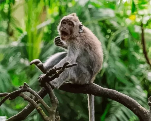 Macaque Monkey On A Tree Diamond Painting