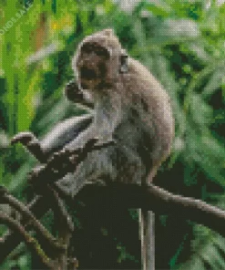 Macaque Monkey On A Tree Diamond Painting