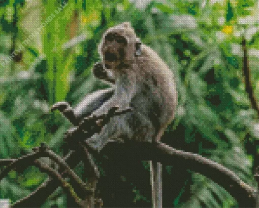 Macaque Monkey On A Tree Diamond Painting