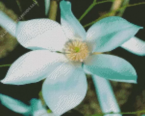 Magnolia Salicifolia Tree Diamond Painting