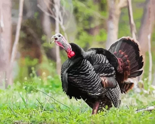 Male Eastern Wild Turkey Diamond Painting