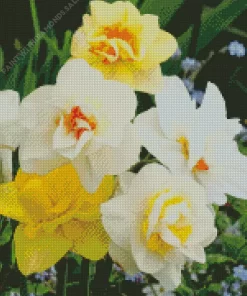 Mixed Double Daffodils Diamond Painting