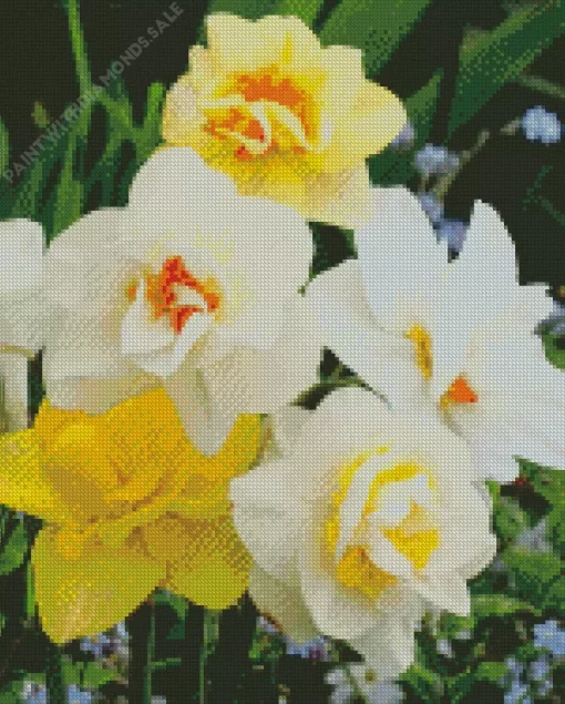 Mixed Double Daffodils Diamond Painting