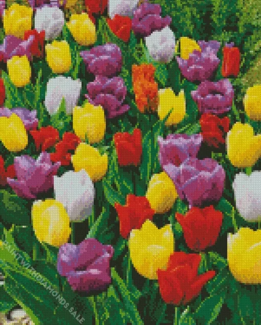 Mixed Triumph Tulips Diamond Painting