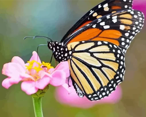 Monarch Butterflies Diamond Painting