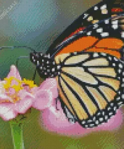 Monarch Butterflies Diamond Painting