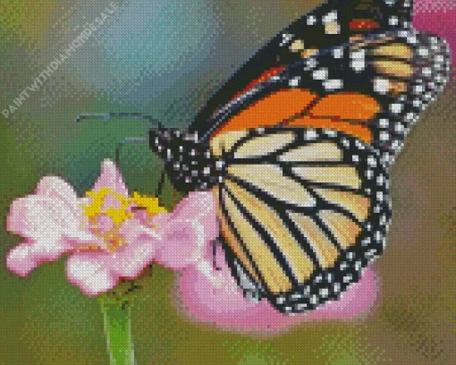 Monarch Butterflies Diamond Painting