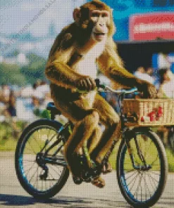 Monkey Driving Bicycle Diamond Painting