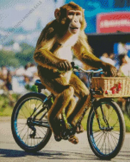 Monkey Driving Bicycle Diamond Painting