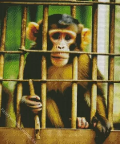 Monkey In Jail Diamond Painting