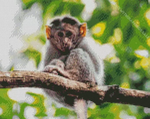 Monkey In Tree Diamond Painting