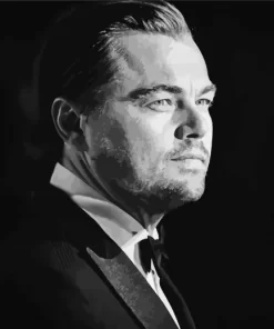 Monochrome Leonardo DiCaprio Diamond Painting